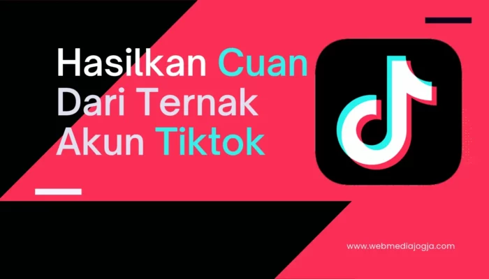 Cara Cuan dari YouTube, Rahasia Sukses Menghasilkan Uang dengan Konten Kreatif dan Strategi Tepat Tanpa Ribet