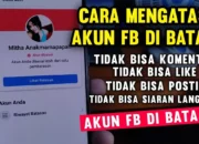Cara Cepat Monet di FB Pro, Rahasia Sukses Raih Penghasilan Besar Tanpa Ribet, Cocok untuk Pemula dan Expert!