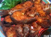Resep Ikan Patin Bumbu Kuning, Lezat dan Mudah Dibuat untuk Santapan Keluarga yang Istimewa