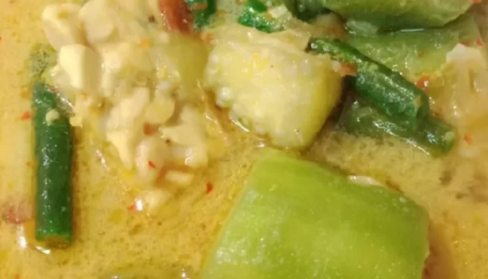 Resep Lodeh Terong Lezat dan Mudah, Nikmati Cita Rasa Autentik yang Bikin Ketagihan dalam 30 Menit!