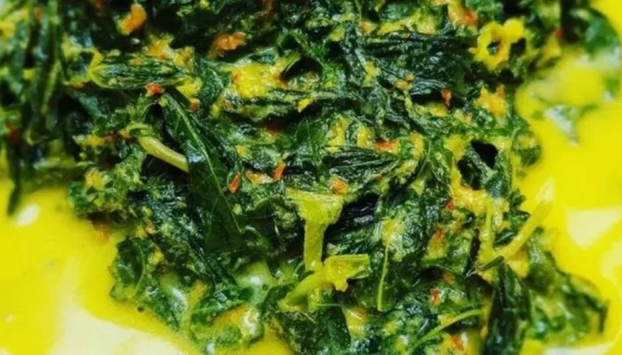 Resep Oblok-Oblok Daun Singkong Lezat, Cara Mudah Masak Hidangan Tradisional yang Menggugah Selera dan Bernutrisi Tinggi