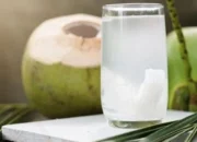 Resep Air Kelapa Segar, Rahasia Menyegarkan Tubuh dan Menyehatkan Kulit dengan Bahan Alami yang Mudah Dibuat di Rumah