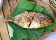Resep Ikan Bakar Bumbu Meresap Sempurna, Rahasia Lezat dan Mudah untuk Santapan Keluarga Istimewa