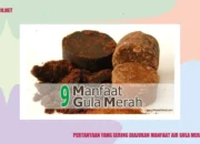 Resep Air Gula Merah untuk Kucing, Solusi Alami Tingkatkan Energi dan Kesehatan Peliharaan Anda dengan Cepat!