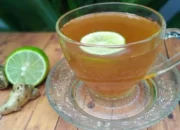 Resep Minuman Aquarium, Rahasia Membuat Minuman Sehat dan Menyegarkan untuk Ikan Kesayangan Anda dengan Mudah