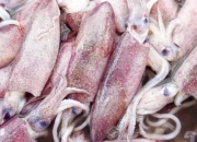 Resep Cumi Oseng Pedas Manis, Lezat dan Mudah Dibuat dalam 30 Menit untuk Santap Malam Istimewa