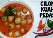 Resep Dumpling Kuah Pedas, Rahasia Lezat yang Bikin Lidah Bergoyang dan Perut Bahagia dalam 30 Menit!