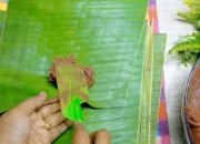 Resep Getuk Pisang Kepok, Cara Mudah Bikin Camilan Tradisional Lembut dan Manis yang Bikin Nagih