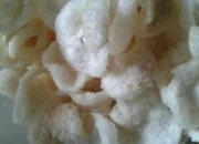 Resep Jipang Nasi Sisa, Kreasi Praktis dan Lezat untuk Hindari Mubazir, Cocok untuk Sarapan atau Camilan Sehat
