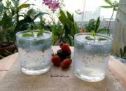 Resep Lychee Mojito Segar, Nikmat, dan Mudah Dibuat untuk Acara Spesial atau Santai di Rumah