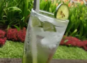 Resep Melon Squash Segar, Cara Mudah Membuat Minuman Penyejuk Dahaga yang Bikin Ketagihan
