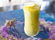 Resep Elixir Sehat, Rahasia Minuman Alami untuk Meningkatkan Energi, Imunitas, dan Kesehatan Tubuh Secara Menyeluruh