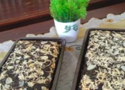 Resep Fudgy Brownies Tintin Rayner, Rahasia Lembut dan Legit yang Bikin Nagih, Cocok untuk Pemula dan Pecinta Cokelat!