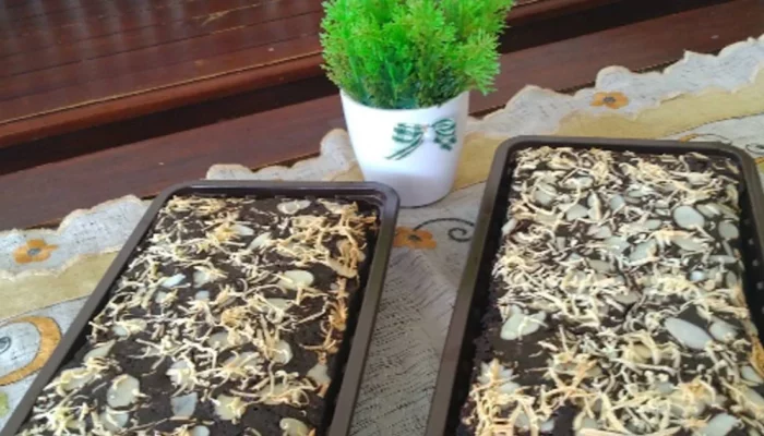Resep Fudgy Brownies Tintin Rayner, Rahasia Lembut dan Legit yang Bikin Nagih, Cocok untuk Pemula dan Pecinta Cokelat!