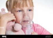 Resep Nebulizer Dewasa, Panduan Praktis untuk Atasi Sesak Napas dengan Cepat dan Efektif di Rumah