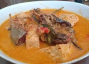 Resep Ndas Manyung Santan, Lezat dan Gurih ala Rumahan yang Bikin Ketagihan, Cocok untuk Menu Harian Spesial