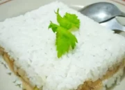Resep Sego Njamoer Lezat dan Praktis, Nikmati Cita Rasa Autentik Jawa yang Menggugah Selera dalam Sekejap