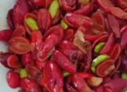 Resep Oseng Kulit Melinjo Pedas, Nikmatnya Bikin Ketagihan dan Praktis Dibuat di Rumah