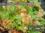 Ulasan RM Resep Tetangga, Temukan Cita Rasa Autentik dan Rekomendasi Menu Terbaik untuk Pengalaman Kuliner Tak Terlupakan