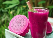 Resep Smoothies Buah Naga Segar, Nikmat, dan Menyehatkan untuk Energi Sehari-hari Tanpa Ribet