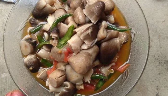 Resep Tumis Jamur Enak dan Praktis, Rahasia Masakan Sehat yang Bikin Nagih dalam 15 Menit