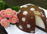 Resep Nutrijel Susu UHT, Kreasi Lezat dan Praktis untuk Camilan Sehat Keluarga, Cocok untuk Segala Acara!