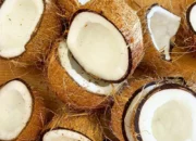 Resep Uli Bakar Lezat dan Praktis, Nikmati Camilan Tradisional yang Hangat dan Menggugah Selera dengan Mudah