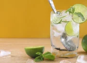 12 Resep Mocktail Segar dan Mudah Dibuat, Cocok untuk Acara Spesial atau Santai Sehari-hari