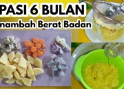 Resep MPASI 13 Bulan untuk Menambah Berat Badan dengan Cepat, Lezat dan Bergizi Tinggi untuk Si Kecil