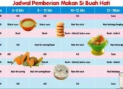 Resep Makanan Anak 18 Bulan, Ide Praktis, Bergizi, dan Disukai Si Kecil untuk Tumbuh Kembang Optimal