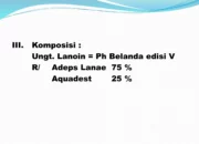 Resep Salep 24 Ampuh, Solusi Cepat Atasi Luka dan Iritasi Kulit dengan Bahan Alami yang Mudah Didapat