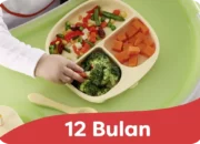 Resep MPASI 911, Panduan Lengkap untuk Makanan Bayi Bergizi, Praktis, dan Disukai Si Kecil