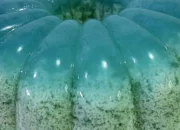 Resep Puding Lumut Lembut dan Nikmat, Cara Mudah Membuat Dessert Unik yang Bikin Keluarga Terpesona