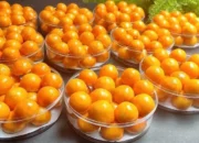 Resep Nastar 250 Gram Tepung, Lembut dan Renyah Sempurna untuk Camilan Lebaran yang Tak Terlupakan