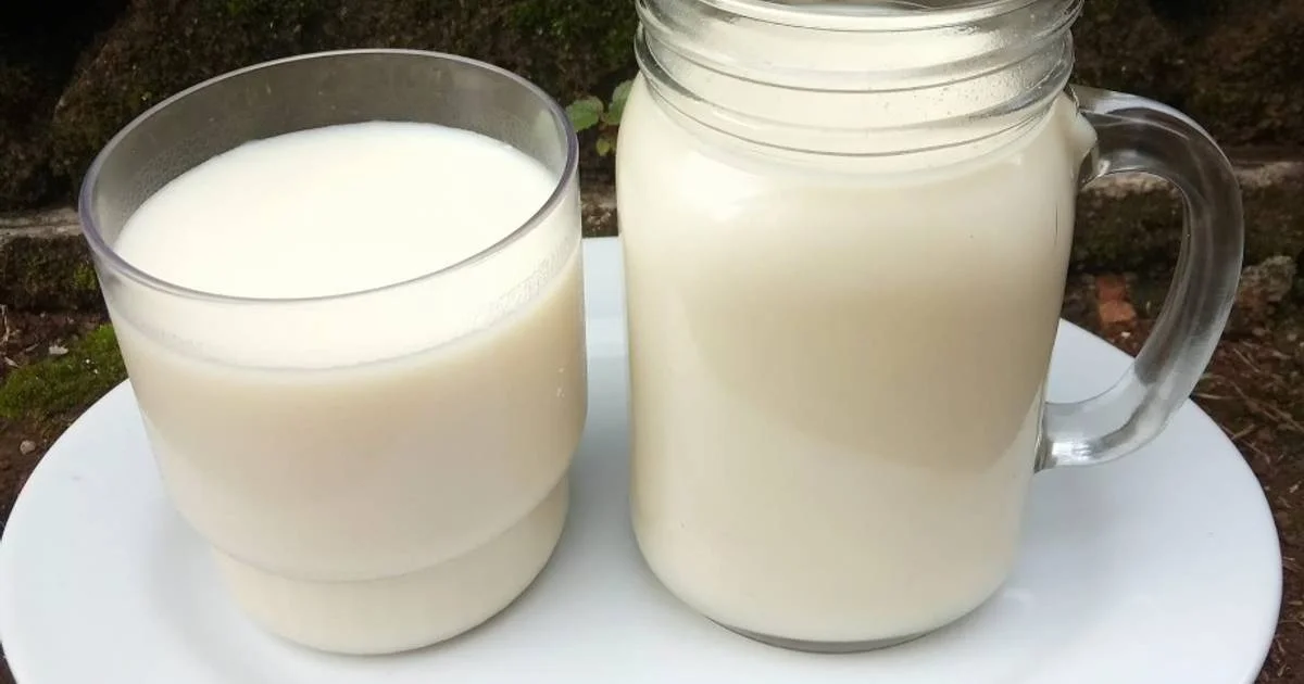 resep susu kedelai