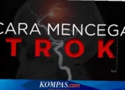 Rahasia Cegah Stroke Ampuh!  Cara Mudah Cegah Stroke di Rumah