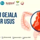 Waspadai Gejala Kanker Usus Besar Ini!  Cara Mengenali dan Mencegahnya