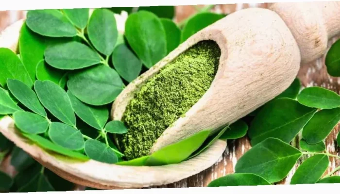 Rahasia Daun Kelor Ampuh untuk Kesehatanmu!  Manfaat Luar Biasa yang Wajib Kamu Ketahui
