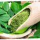 manfaat daun kelor