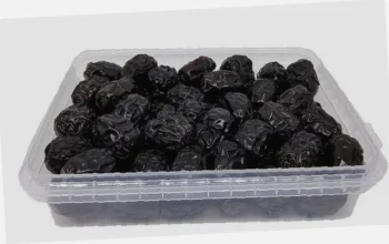 manfaat kurma ajwa asli