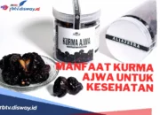 Rahasia Kurma Ajwa untuk Promil –  Boosting Kesuburan ala Alami