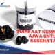 manfaat kurma ajwa untuk promil