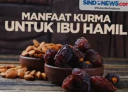 manfaat kurma buat ibu hamil