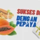 Rahasia Diet Sehat dengan Pepaya Ajaib  –  Kehilangan Berat Badan Cepat & Sehat