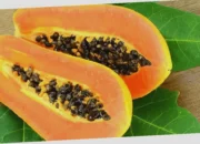manfaat pepaya untuk kesehatan mata