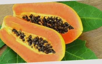 manfaat pepaya untuk kesehatan mata