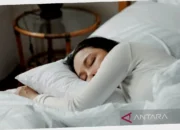 manfaat tidur cukup untuk tubuh