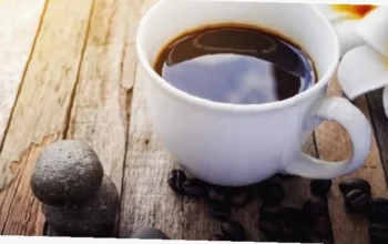 minuman terbaik untuk jaga kesehatan ginjal
