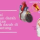 Penyumbatan Pembuluh Darah Otak Cepat Atasi Gejalanya Sekarang Juga