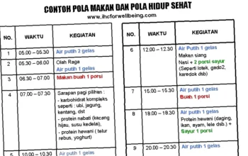 pola makan sehat harian